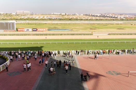 Exploring the Surge of Sports Betting in Africa's Digital Era