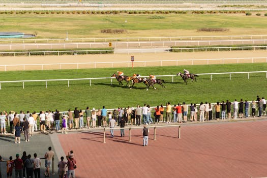 Unlocking the Thrill: A Beginner's Guide to Africa's Sportsbetting Scene